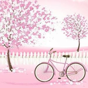 Meet your Posher, Joannaliz